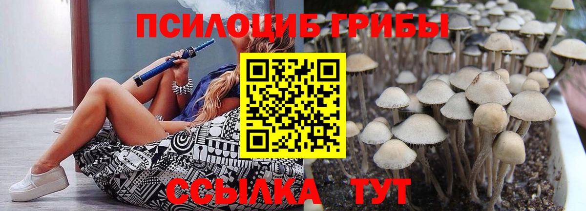 Галлюциногенные грибы MAGIC MUSHROOMS Крымск