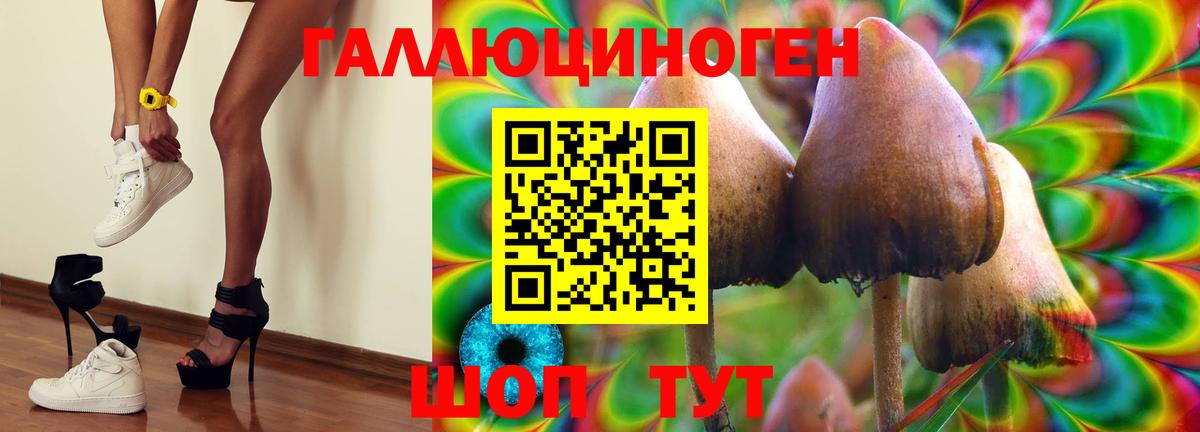 Псилоцибиновые грибы Psilocybine cubensis  купить  сайты  Вход с VPN  Крымск  Галлюциногенные грибы Psilocybine cubensis 